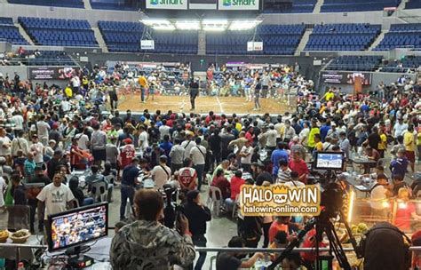 sabong derby 2023|World Slasher Cup 2023 Elimination and Semis Results.